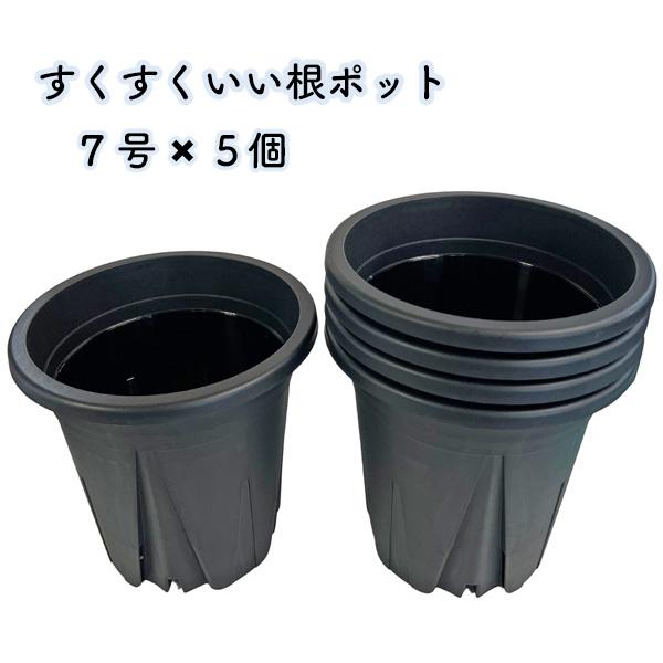 すくすくいい根ポット 7号 ブラック 5個セット スリット鉢 日本製 黒 プラ鉢 観葉植物 プラスチック 三晃物産