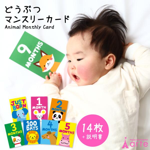 ＊＊＊＊＊お知らせ＊＊＊＊＊どうぶつ マンスリーカードを新商品として追加いたしました。（変更日：2025年12月）＊＊＊＊＊＊＊＊＊＊＊＊＊＊カラフルな動物が可愛いベビーアルテオリジナルマンスリーカード。カードの裏には数字と動物の豆知識を踏...