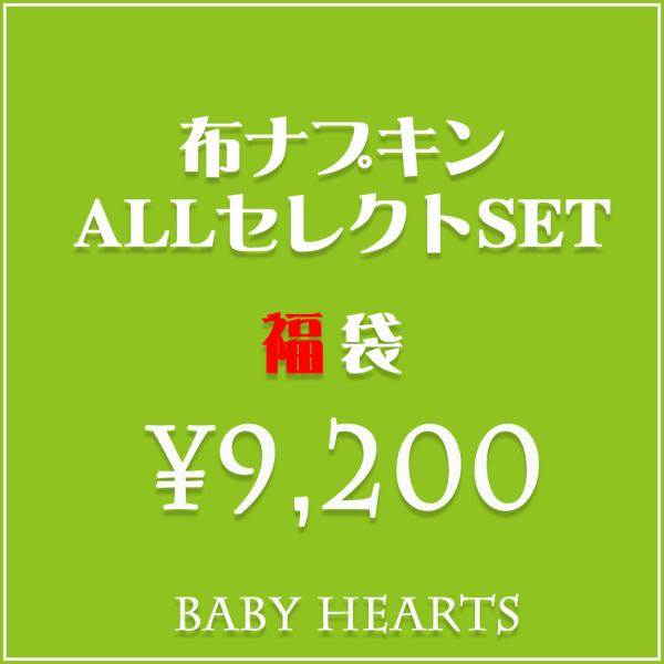 （福袋9200）布ナプキンＡＬＬセレクトSET 送料無料 ベイビーハーツ 【beginner】2019fuku