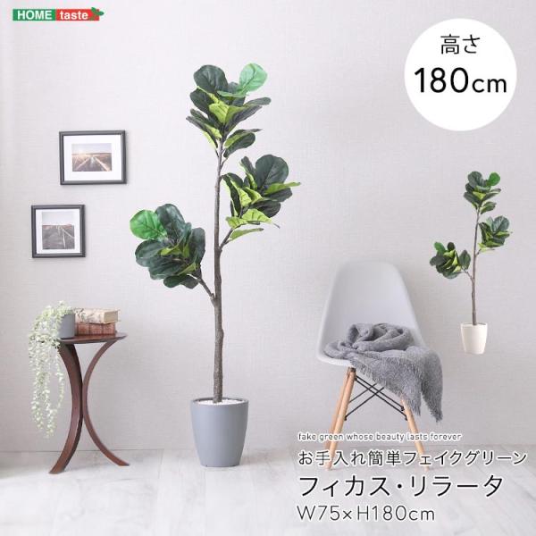 ポイント5倍 9日まで お手入れ簡単 フェイクグリーン フィカス