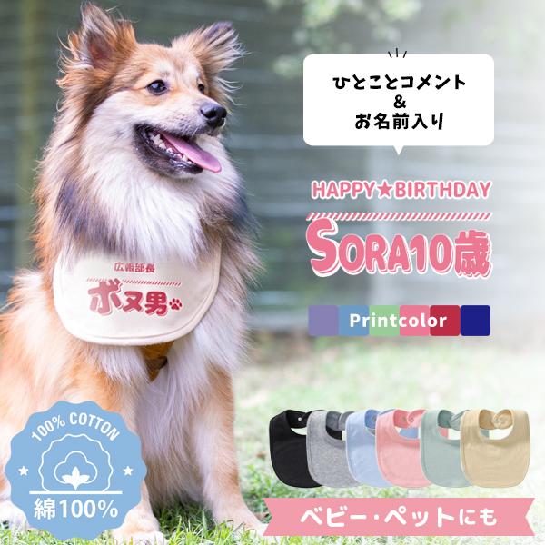 キッズ スタイ 犬 愛犬 自己紹介 名刺 イエロードッグ ベビー 赤ちゃん