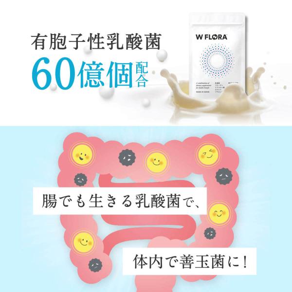 乳酸菌 サプリ便秘 肌荒れ ダイエット 腸活 サプリメント 免疫力 W Flora ダブル フローラ ビフィズス菌 痩せ菌 Buyee Buyee 提供一站式最全面最专业现地yahoo Japan拍卖代bid代拍代购服务 Bot Online