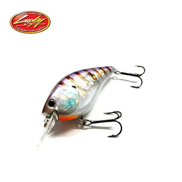 backlash_y-0842406114222