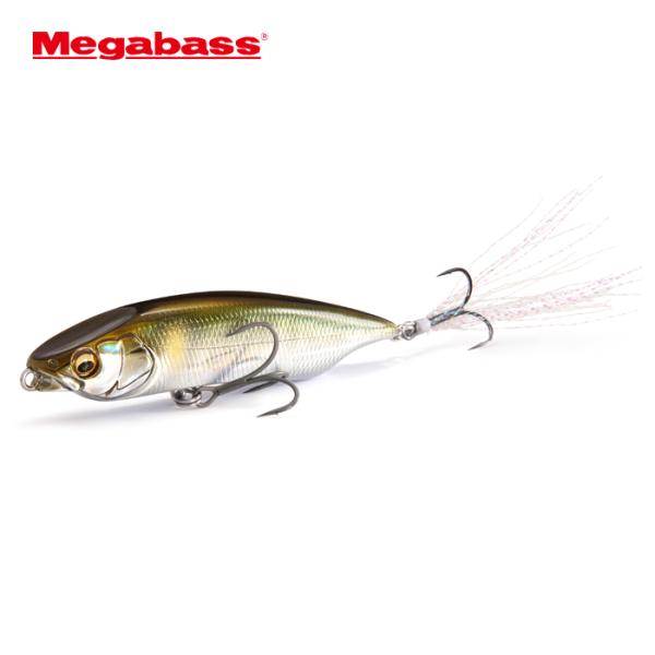 backlash_y-4513473553554_2_d_20260404200106