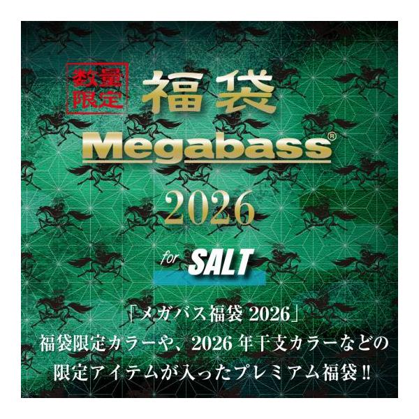 メガバス2026福袋　ソルトSET福袋限定カラーや2026年干支カラーなどのアイテムが入ったプレミアム福袋！！【セット内容】・KIRINJI120　干支カラー馬　×1　全4色・KAGELOU124F　福袋限定カラー　×1・HADARA TR...