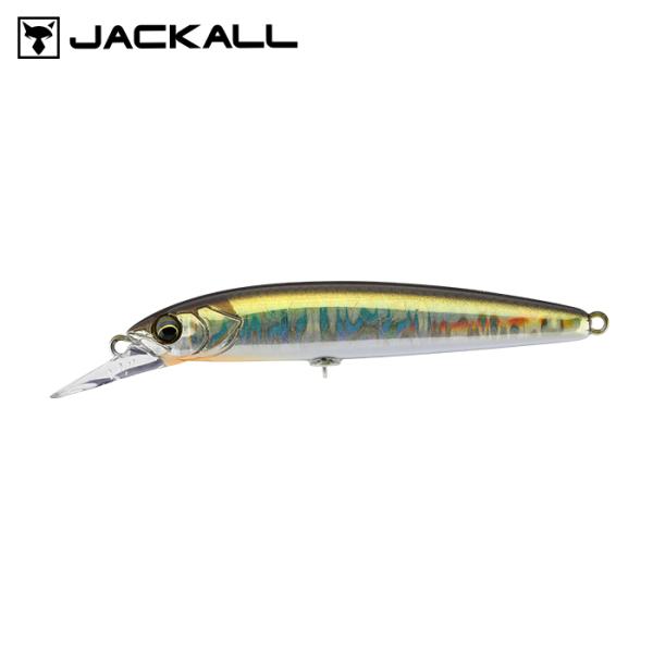 backlash_y-4525807327472_2_d_20260405004204