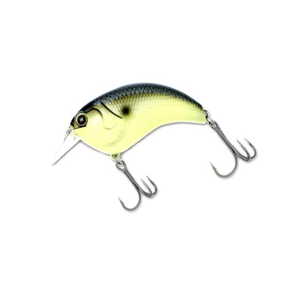 deps イヴォーク1.2 9個セット deps イヴォーク1.2 9個セット EVOKE | deps OFFICIAL HP