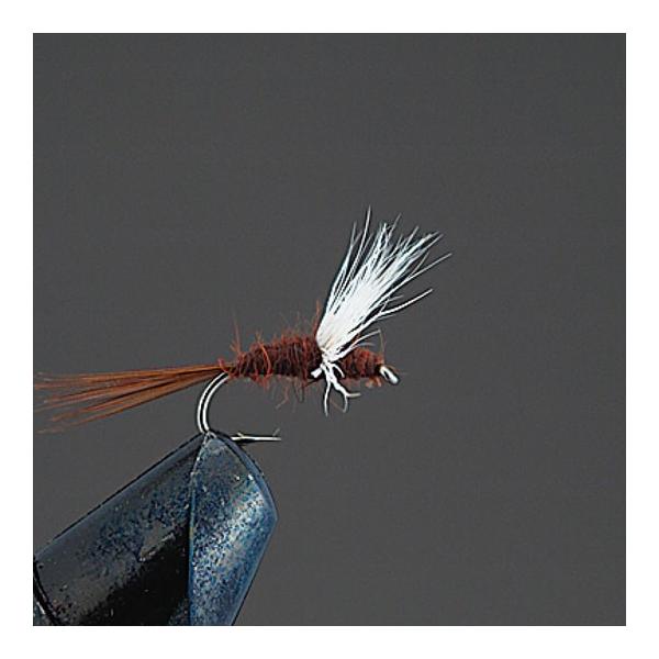 o[q@ihCtC@D1 Rp_@Valleyhill@COMPLETE FLY@