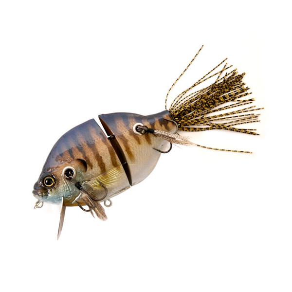 backlash_y456033543867y