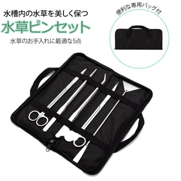 水草セット 通販 水草 5点セット 5点 専用ケース付き 収納バッグ付き