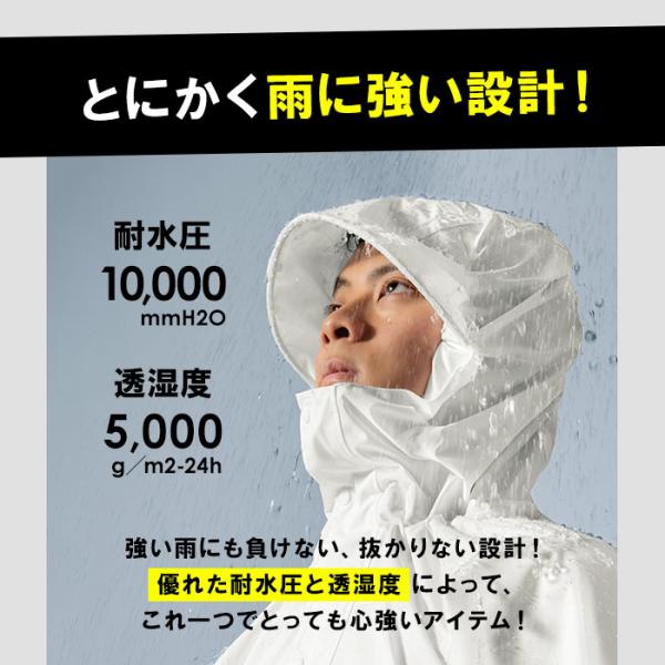 backyard-1_as5140_4_d_20250410125146