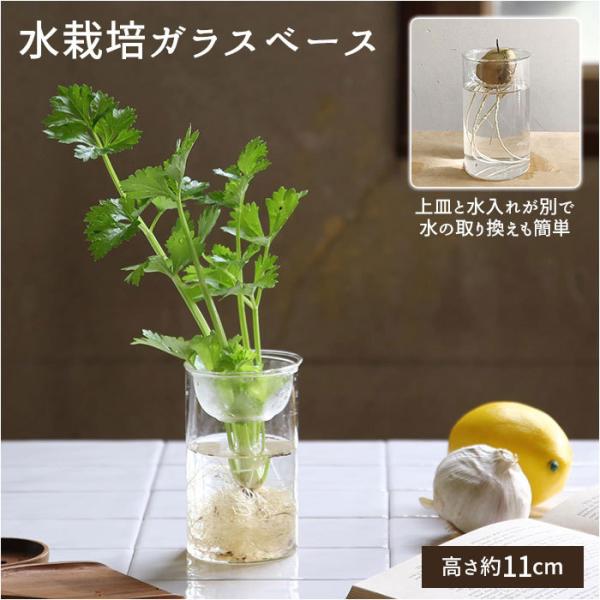 水栽培 花瓶 ガラスの人気商品 通販 価格比較 価格 Com