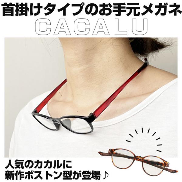 backyard-1_cacalu2_1_d_20250501111947