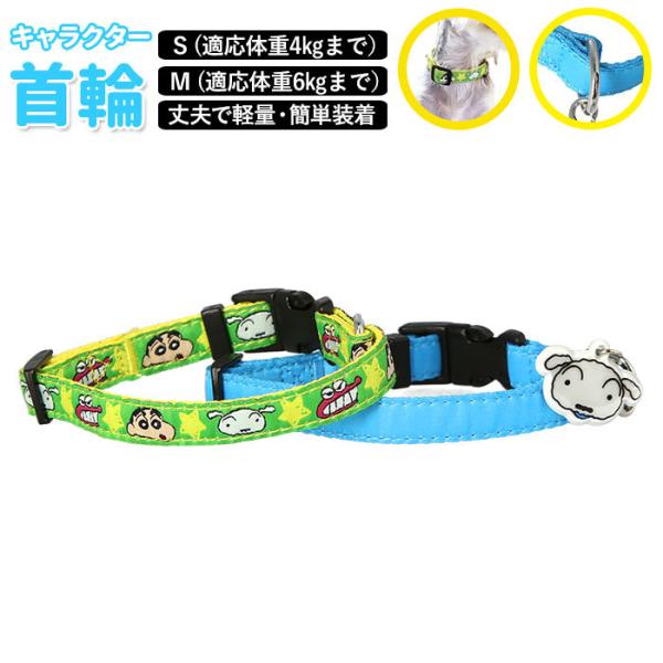   킢 ʔ N񂿂 LN^[ ObY ^ ^ 񂿂 V `Rr Ck p U  tN^[t