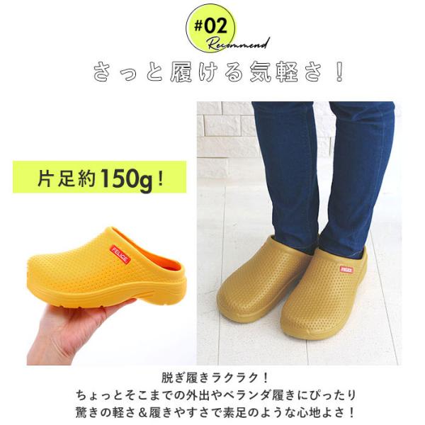 backyard-1_danasoft_5