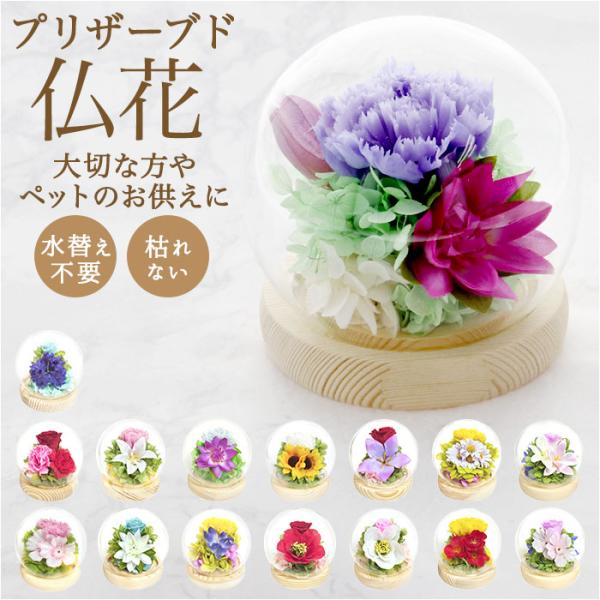 お正月 初売り 初詣 お年玉 成人の日 成人式 節分 バレンタインデー 桃の節句（ひなまつり） ホワイトデー 春物入荷 お花見 入学式 ゴールデンウィーク 母の日 衣替え 父の日 梅雨 夏物入荷 山開き 海開き 七夕 お中元 暑中お見舞い ...