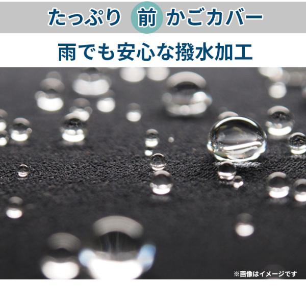 backyard-1_keia005_4_d_20250311163132