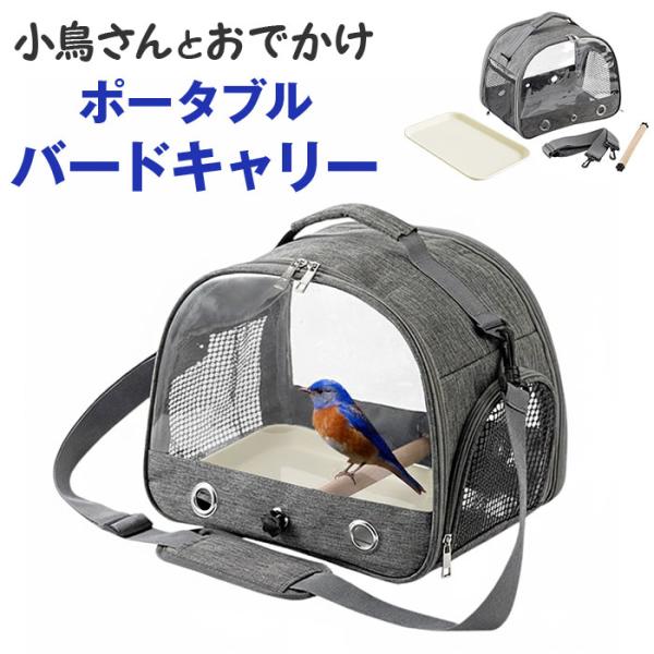 お正月 初売り 初詣 お年玉 成人の日 成人式 節分 バレンタインデー 桃の節句（ひなまつり） ホワイトデー 春物入荷 お花見 入学式 ゴールデンウィーク 母の日 衣替え 父の日 梅雨 夏物入荷 山開き 海開き 七夕 お中元 暑中お見舞い ...