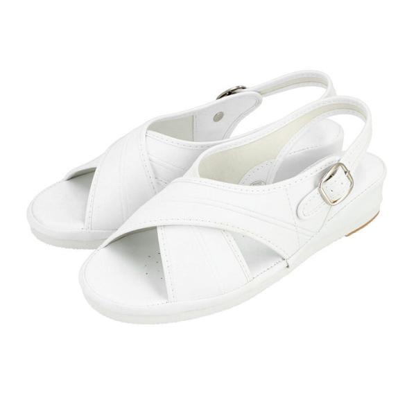 i[XT_ ʔ̃i[XT_  i[XV[Y ɂ ItBXT_ T_ Ks Plus P[YvX rWlX ItBX  fB[X u