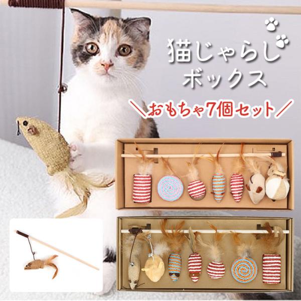 backyard-1_pettoy93101