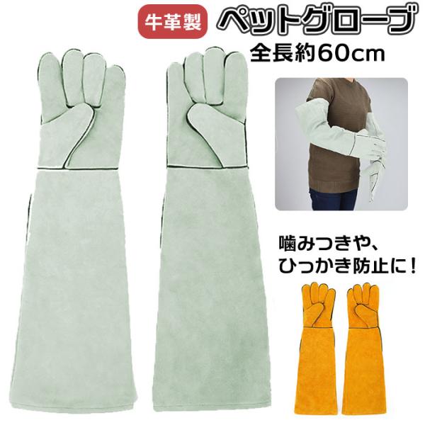ペット 通販ペット 噛みつき 手袋 ペットグローブ ケガ 保護グローブ ひっかき 防止 噛みつき防止 しつけ 牛革 鳥 オウム 爬虫類用品 安全 いぬ イヌ 犬用品