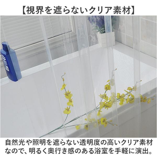 backyard-1_pmy240200_2_d_20241112144136