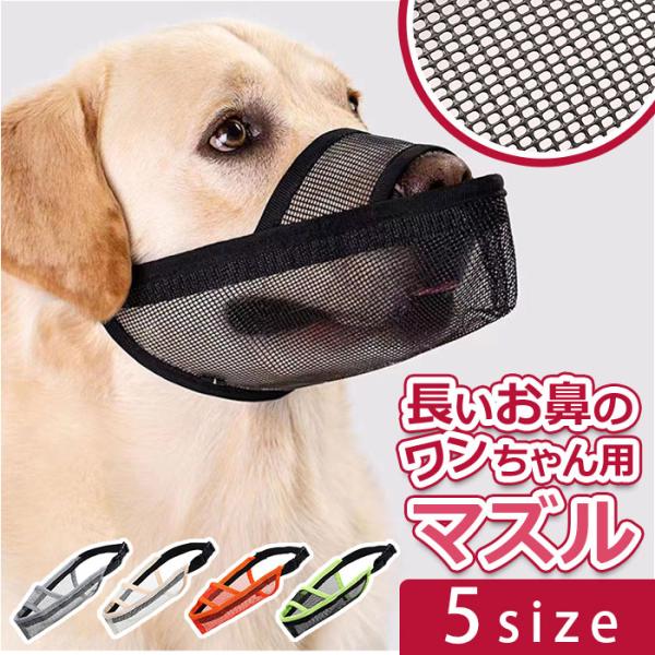 ご利用シーンやイベントなど: お正月 初売り 初詣 お年玉 成人の日 成人式 節分 バレンタインデー 桃の節句（ひなまつり） ホワイトデー 春物入荷 お花見 入学式 ゴールデンウィーク 母の日 衣替え 父の日 梅雨 夏物入荷 山開き 海開き...