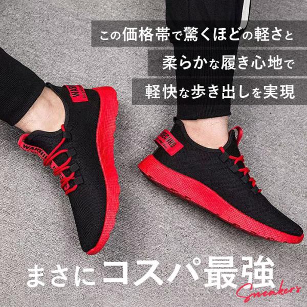 backyard-1_pmysneak01_1_d_20230915080357