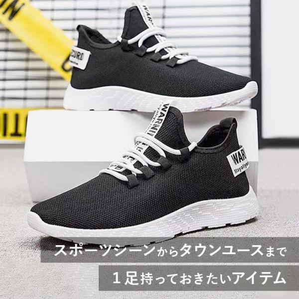 backyard-1_pmysneak01_3_d_20230915080357