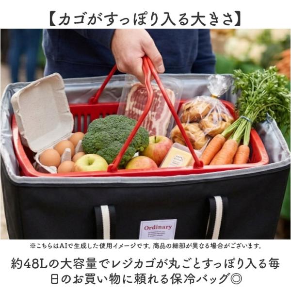 backyard-1_regimaru_2_d_20260312123738