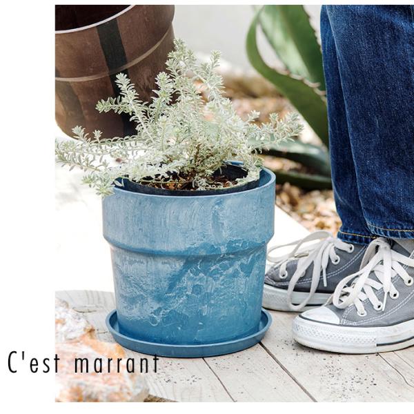 backyard-1_ubplantspot6g_3_d_20250610100747