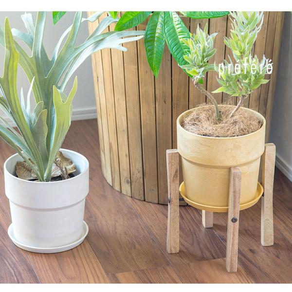 backyard-1_ubplantspot6g_4_d_20250610100748