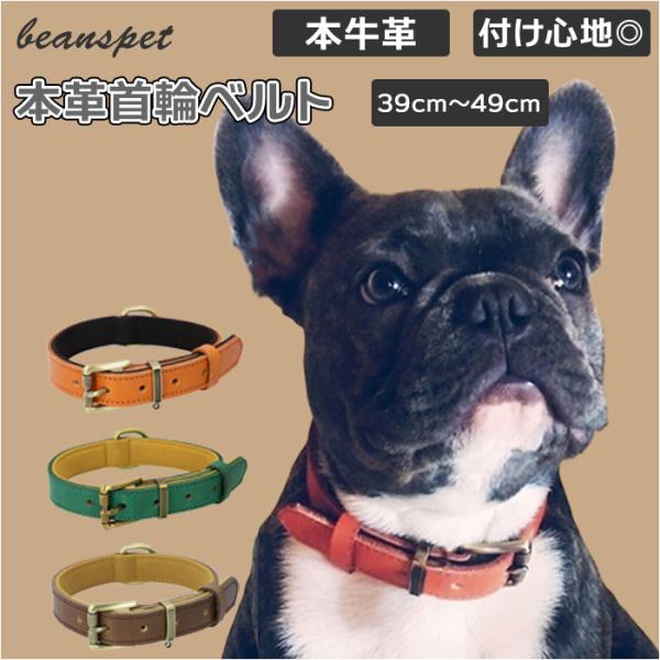 犬 首輪 本革の人気商品・通販・価格比較 - 価格.com 犬 首輪 本革の人気商品・通販・価格比較 - 価格.com