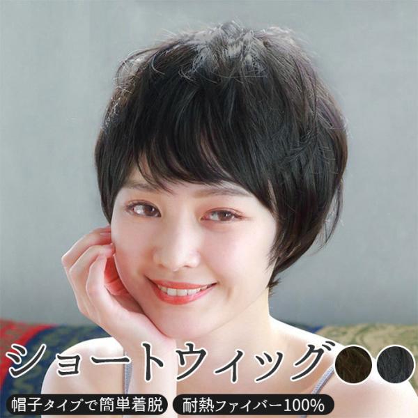 vV EBbO ʔ V[g Xq tEBbO ϔM   EȒP  {u ×p a RXv  Jc  vV