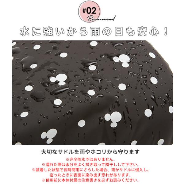 backyard_charicapbig_3_d_20230203135431