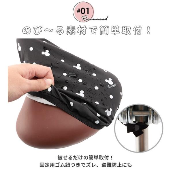 backyard_charicapnml_2_d_20230113120457