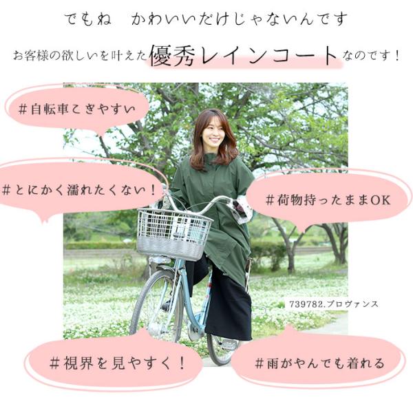 backyard_chou3046lsize_4_d_20230915120155