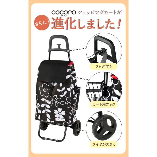 backyard_cocorostd2_1_d_20251120175544