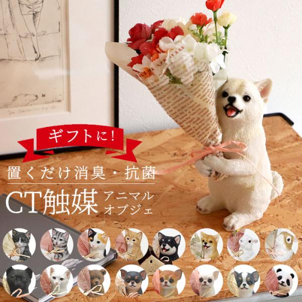 短冊セット 花や動物のデザイン backyard_ctbouquet