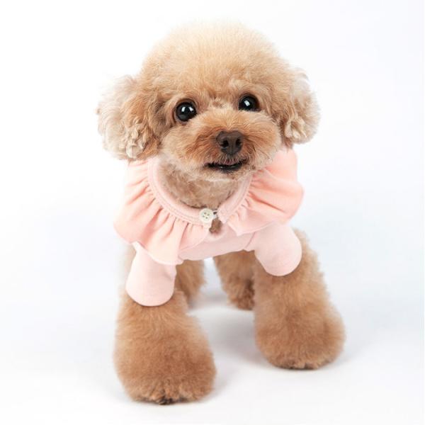  ʔ̌ tVc TVc  hbOEFA  Ck ybg jbg X[Xjbg t tJ[ Vv 킢  p 