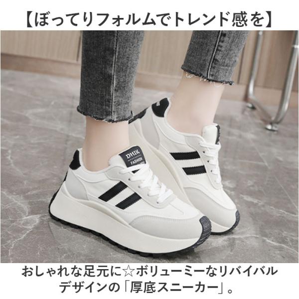 backyard_g6318_1_d_20241226143149