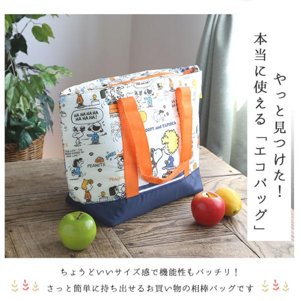 backyard_kcts1_1_d_20241108155337