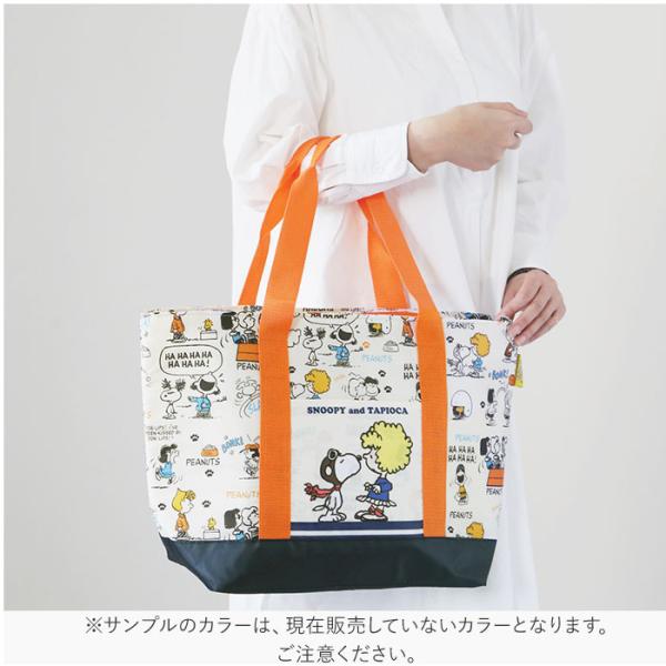 backyard_kcts1_2_d_20241108155336