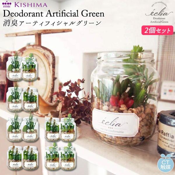 ϗtA tFCNO[ ʔ   CTG} LA[eBtBVO[ 2Zbg ECLIA GNA CeAO[ ϗtA