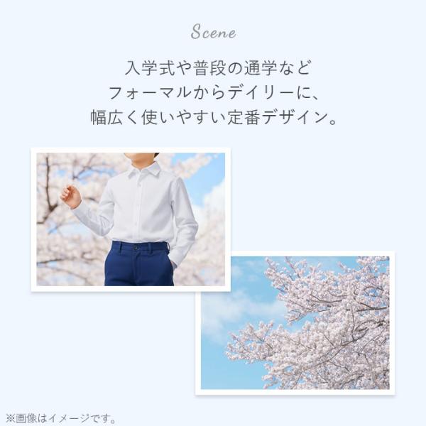 backyard_lysh065_1_d_20260204110130