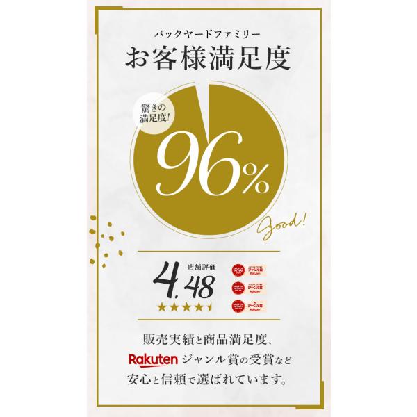 backyard_me2916_1_d_20251205161617