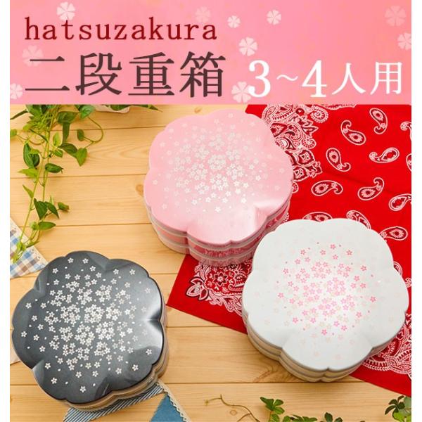 d   d؂ hatsuzakura  2i ٓ 킢 d sy ٓ `{bNX sNjbN ^ Ԍ W[