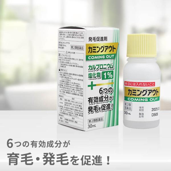 [Release date: July 26, 2024]頭皮にふりかけ、マッサージしていただく発毛促進剤です。l−メントール配合でスッキリ爽快な使用感。ふけ・かゆみ等の頭皮環境の改善にオススメです。カルプロニウム塩化物配合！