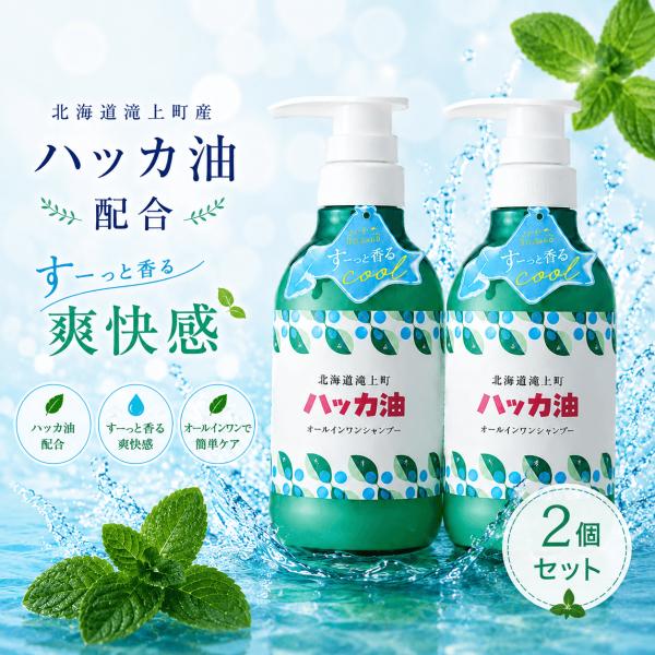 [2本セット]北海道産ハッカ油配合 オールインワンシャンプー 365mL  ノンシリコン アミノ酸シャンプー 日本製 頭皮ケア 清涼感 デイリーアロマジャパン