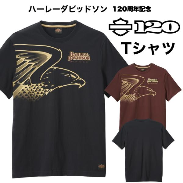 Harley Davidson HARLEY DAVIDSON 120周年記念 Tシャツ SPEED Harley Davidson HARLEY DAVIDSON 120周年記念 Tシャツ SPEED